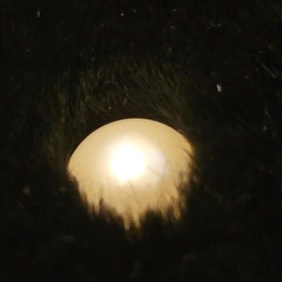 Faux-Fur Loop Pull-Through Scarf - Picture 3 of 3